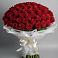 Букет 101 Красная роза Блэк Мэджик в Марксе